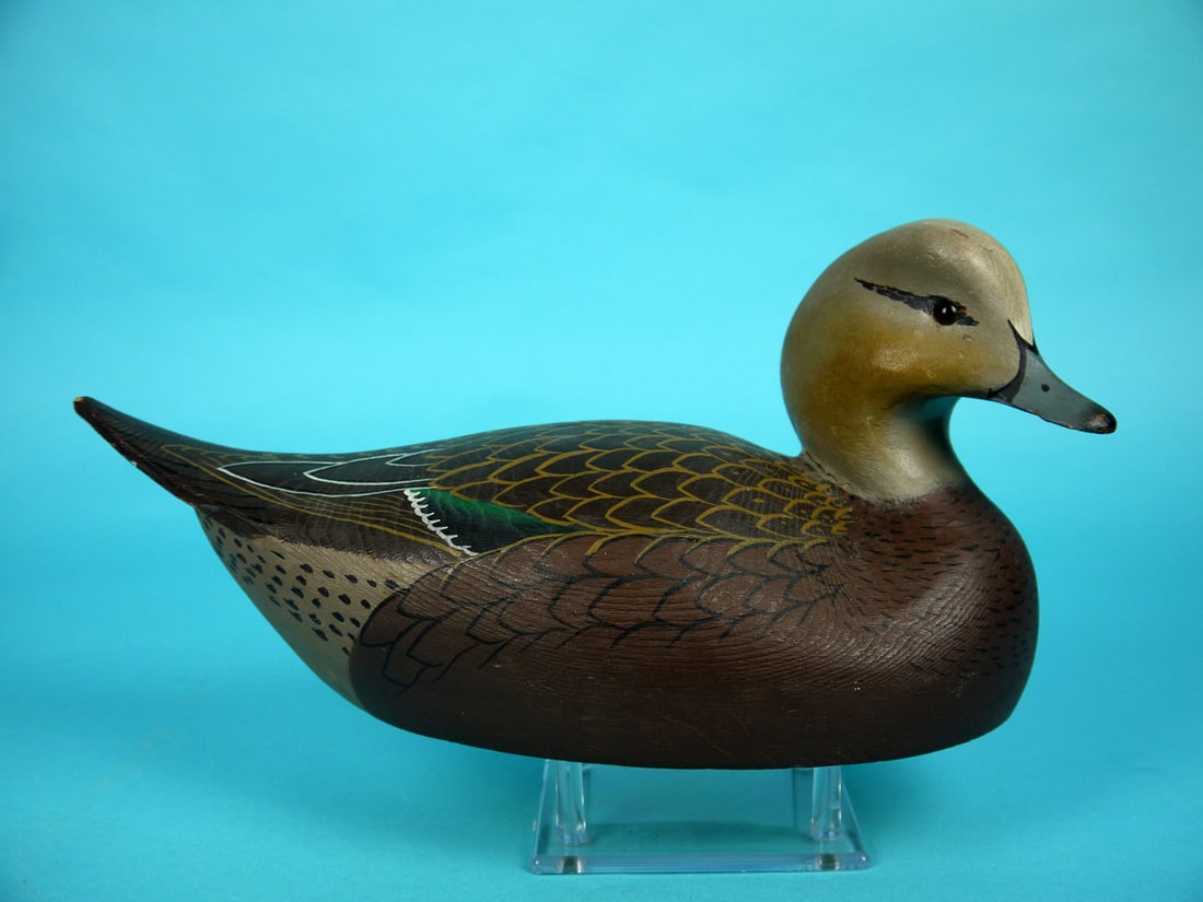 WIGEON DRAKE, W. CRANMER (1 of 4)