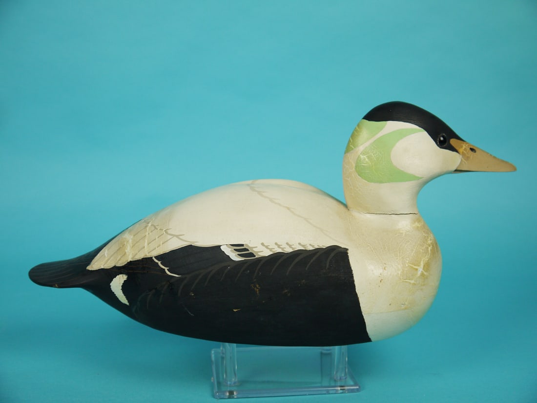 EIDER, W. CRANMER - 2