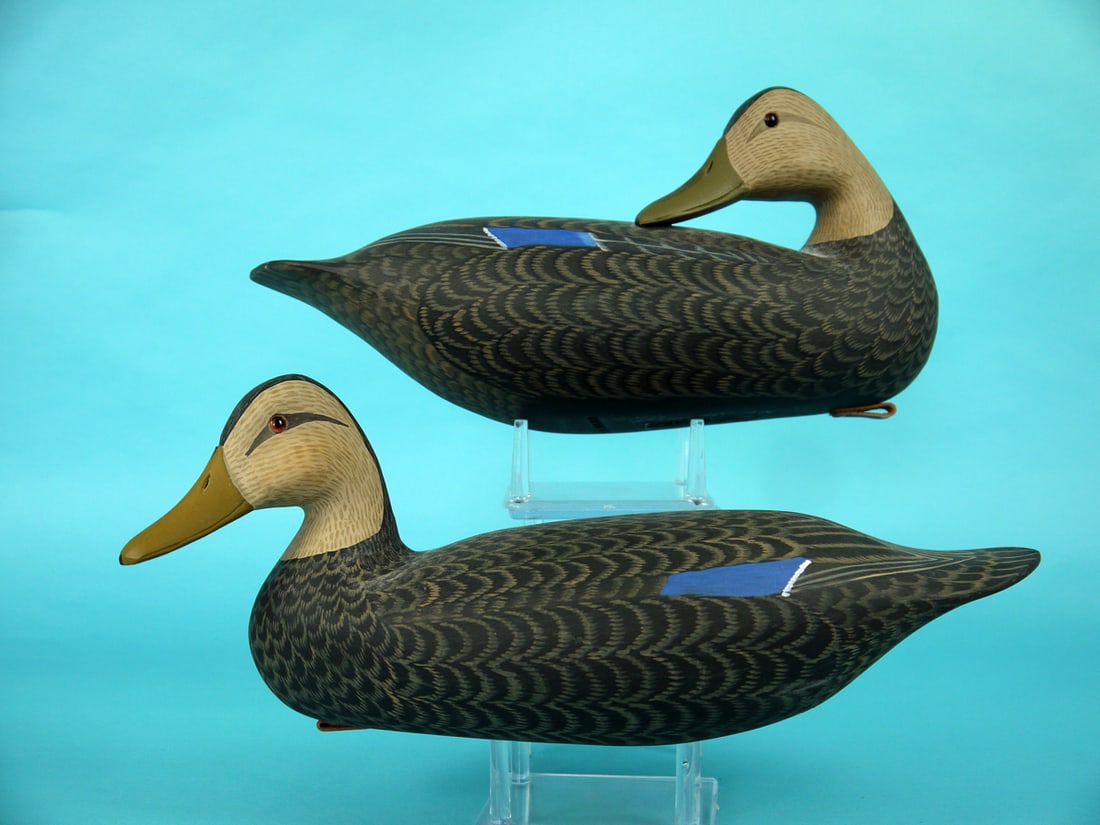 BLACK DUCK PAIR, H.V. SHOURDS (1 of 4)
