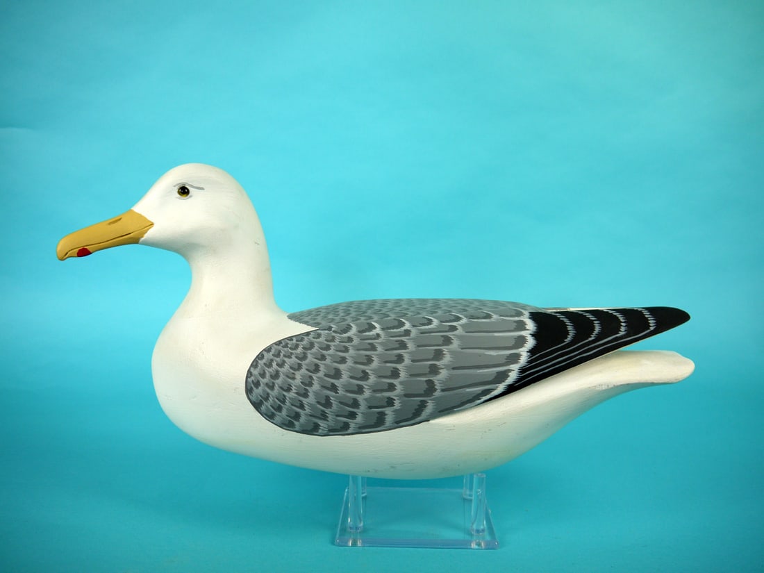 GULL, H.S. SHOURDS: FINE GULL by Harry V. Shourds, Seaville, NJ. Excellent original paint and structural condition. Hollow construction. Fine painted feather detail to back and sides and raised wing tips. Head slightly