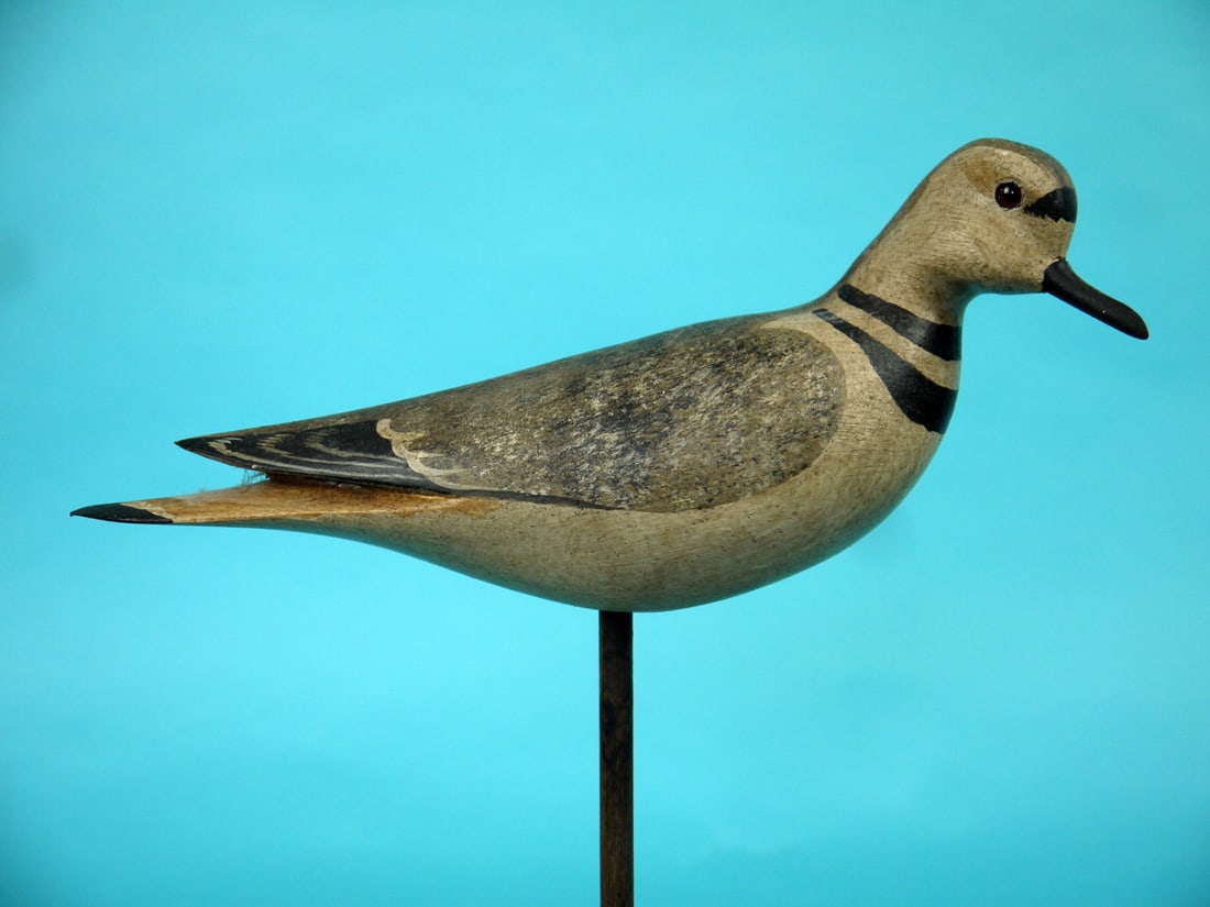 KILLDEER, H.V. SHOURDS (1 of 4)