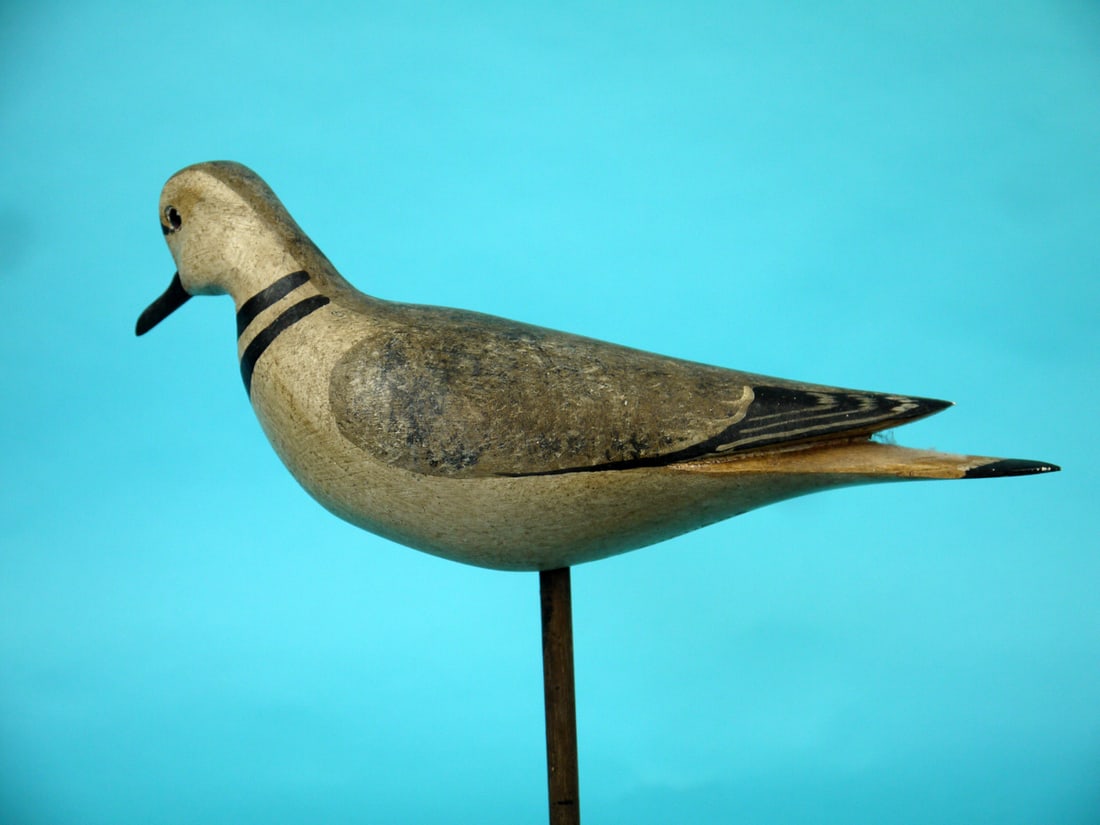 KILLDEER, H.V. SHOURDS - 2