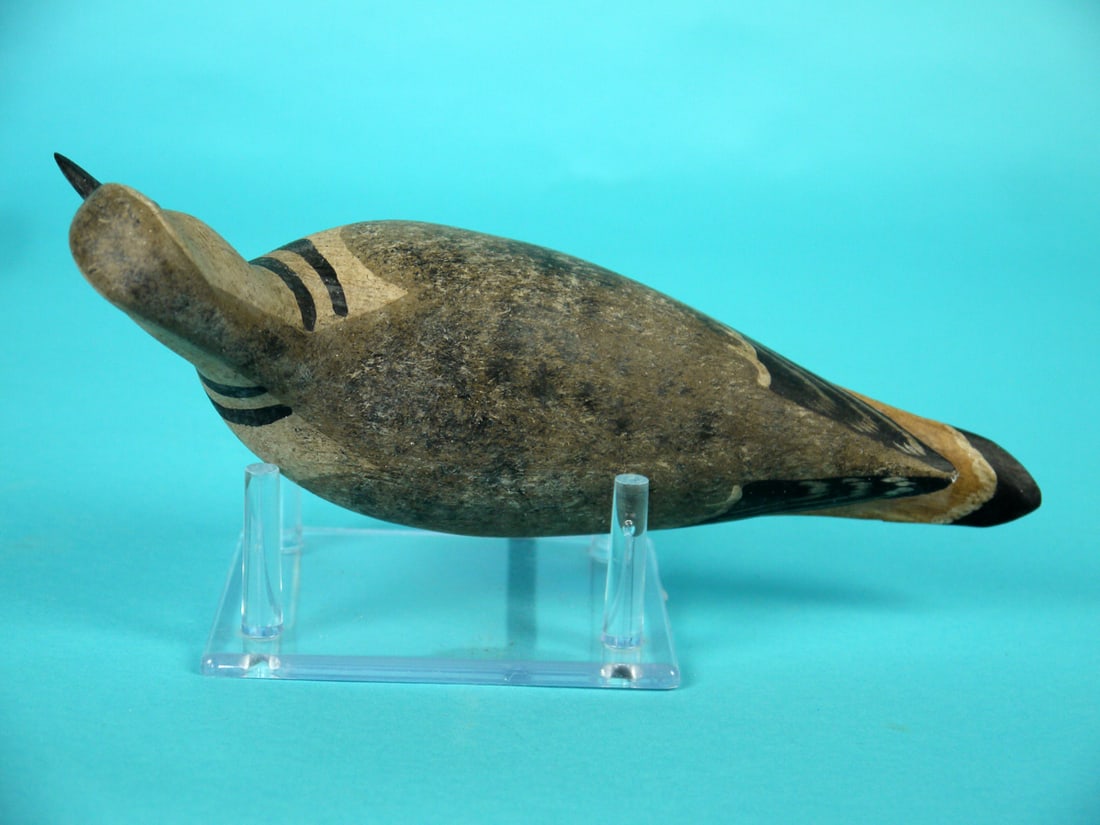 KILLDEER, H.V. SHOURDS - 3