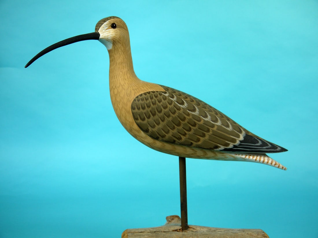 CURLEW, H.S. SHOURDS: CURLEW by Harry V. Shourds, Seaville, NJ. Excellent original paint and structural condition. Relief carved wings with split-tail carving. Slightly turned head retains glass eyes. Signed by maker and