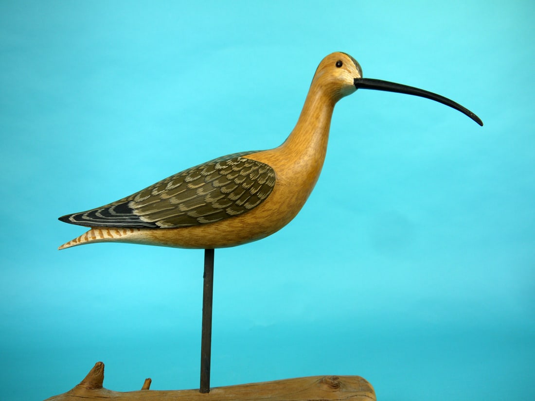 CURLEW, H.V. SHOURDS: CURLEW by Harry V. Shourds, Seaville, NJ. Excellent original paint and structural condition. Relief carved wings with split-tail carving. Slightly turned head retains glass eyes. Mounted atop a
