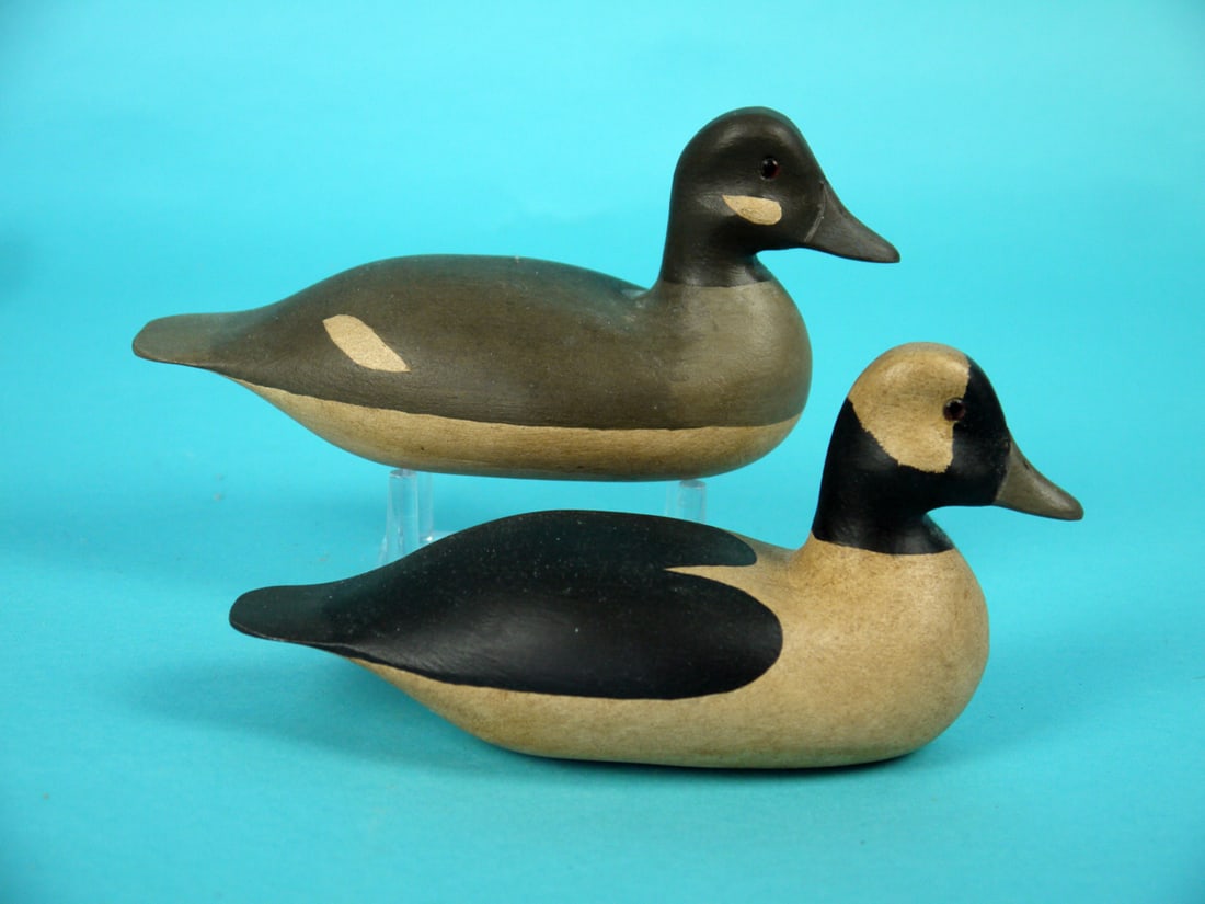 ONE-THIRD SIZE BUFFLEHEAD PAIR, H.V. SHOURDS (1 of 4)