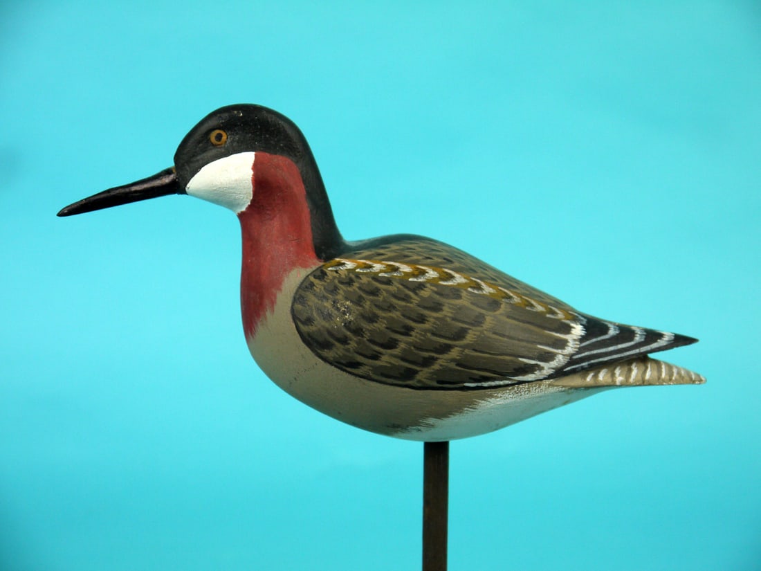 PHALAROPE, H.V. SHOURDS: RARE PHALAROPE by Harry V. Shourds, Seaville, NJ. Very good original paint and structural condition. Raised wing tips and split-tail carving. Detailed painted feather work to wings and back. Painted