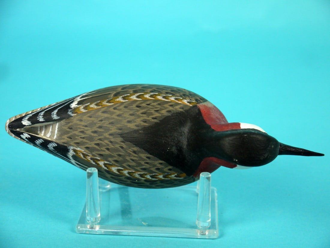 PHALAROPE, H.V. SHOURDS - 3