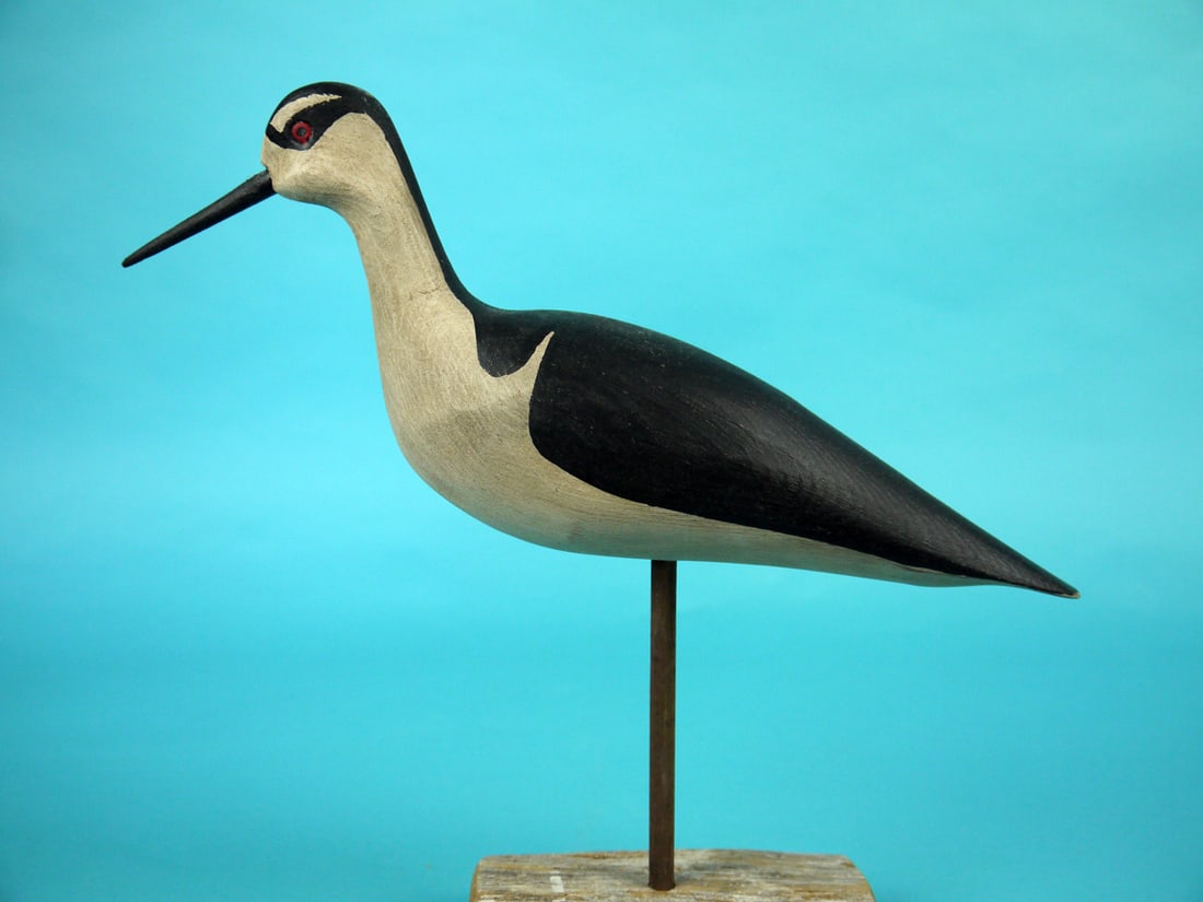 BLACK-NECKED STILT, H.V. SHOURDS: RARE BLACK-NECKED STILT by Harry V. Shourds, Seaville, NJ. Very good original paint and structural condition. Folk art style paint pattern and carved eye detail. Signed by the maker. Mounted atop a