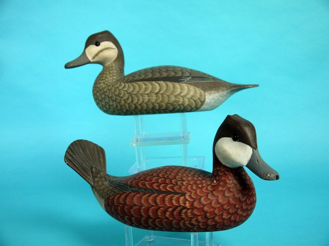 RUDDY DUCK PAIR, H.V. SHOURDS: OUTSTANDING PAIR OF RUDDY DUCKS by Harry V. Shourds, Seaville, NJ. Very good original paint and structural condition. Very small paint rub to drake's bill, and very small paint flake on lower neck.