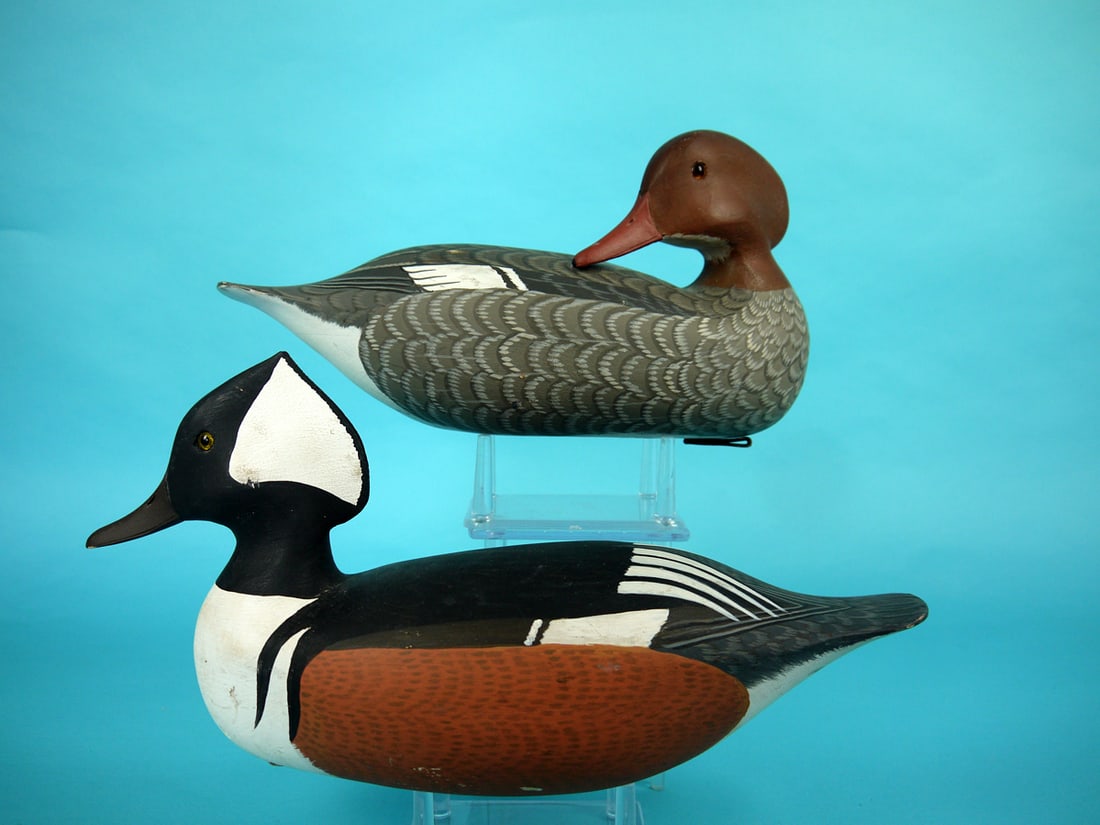 HOODED MERGANSER PAIR, H.V. SHOURDS (1 of 4)