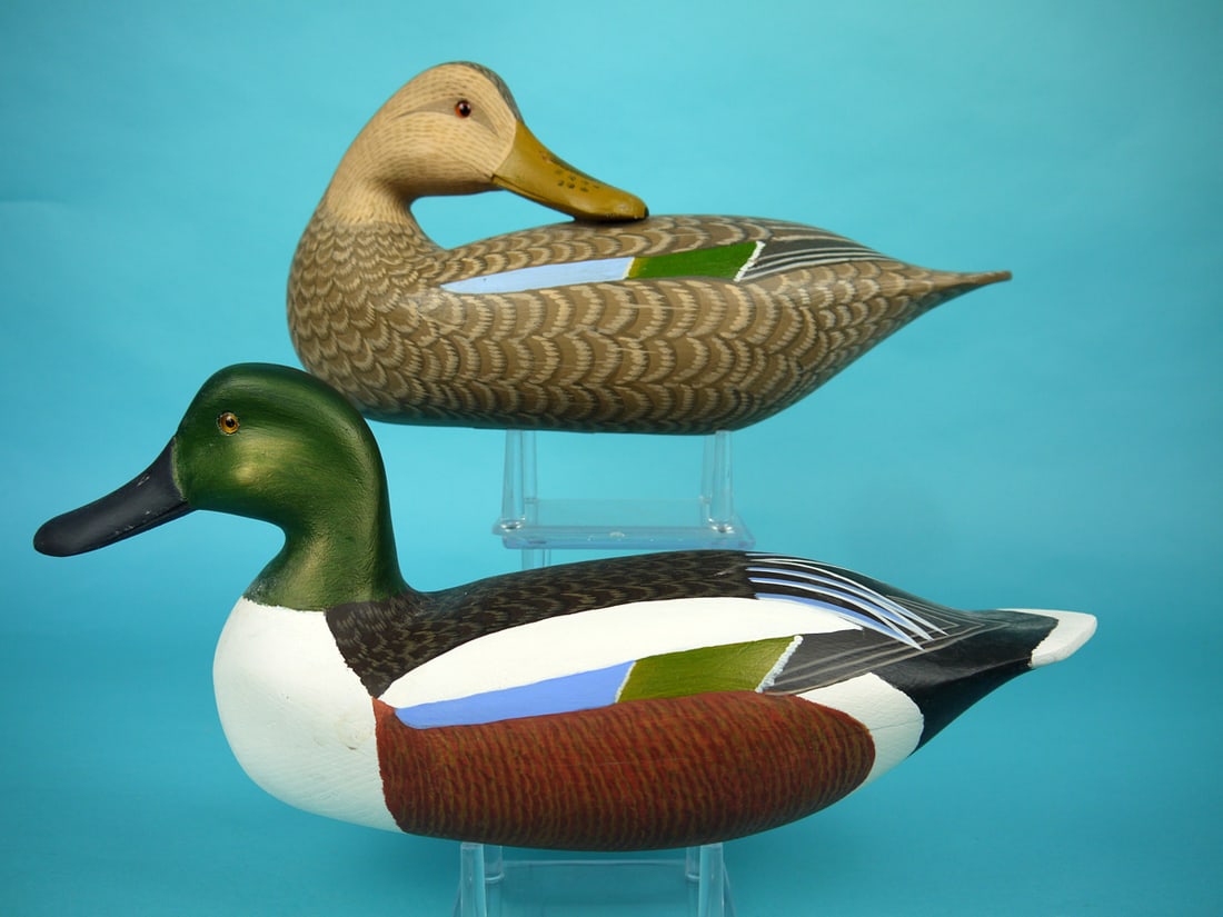 SHOVELER PAIR, H.V. SHOURDS (1 of 4)