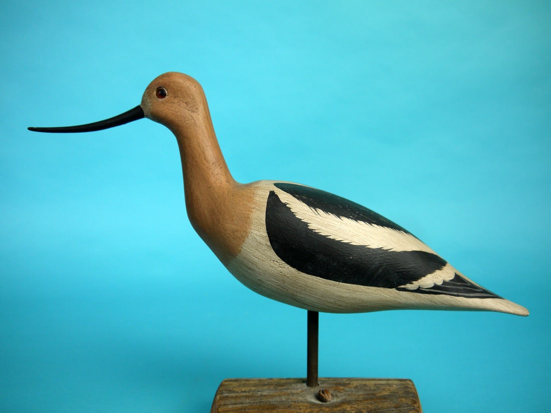 AVOCET, H.V. SHOURDS: FINE AVOCET by Harry V. Shourds, Seaville, NJ. Excellent original paint and structural condition. Heart-shaped painted wing detail to back. Retains glass eyes and curved bill. Signed by maker,