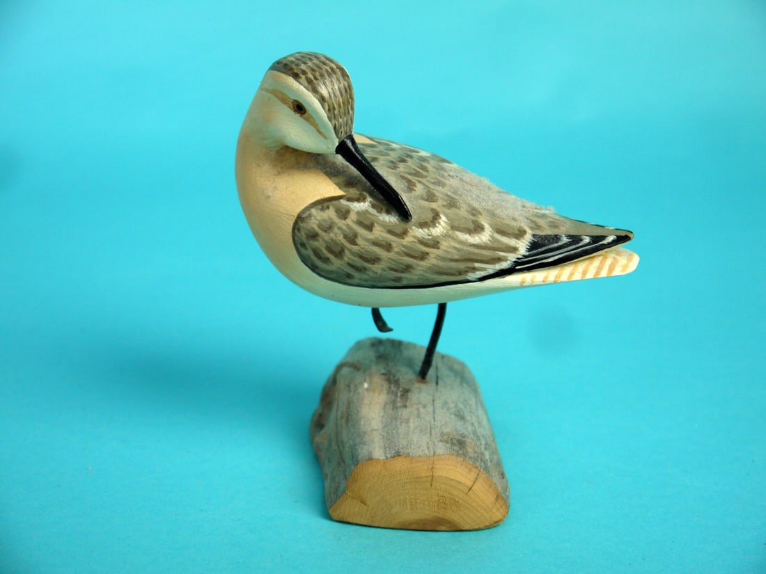SANDPIPER, H.V. SHOURDS: PREENING SANDPIPER by Harry V. Shourds, Seaville, NJ. Excellent original paint and structural condition. Detailed painted feather work to the back. Split-tail carving. Standing on one leg with one
