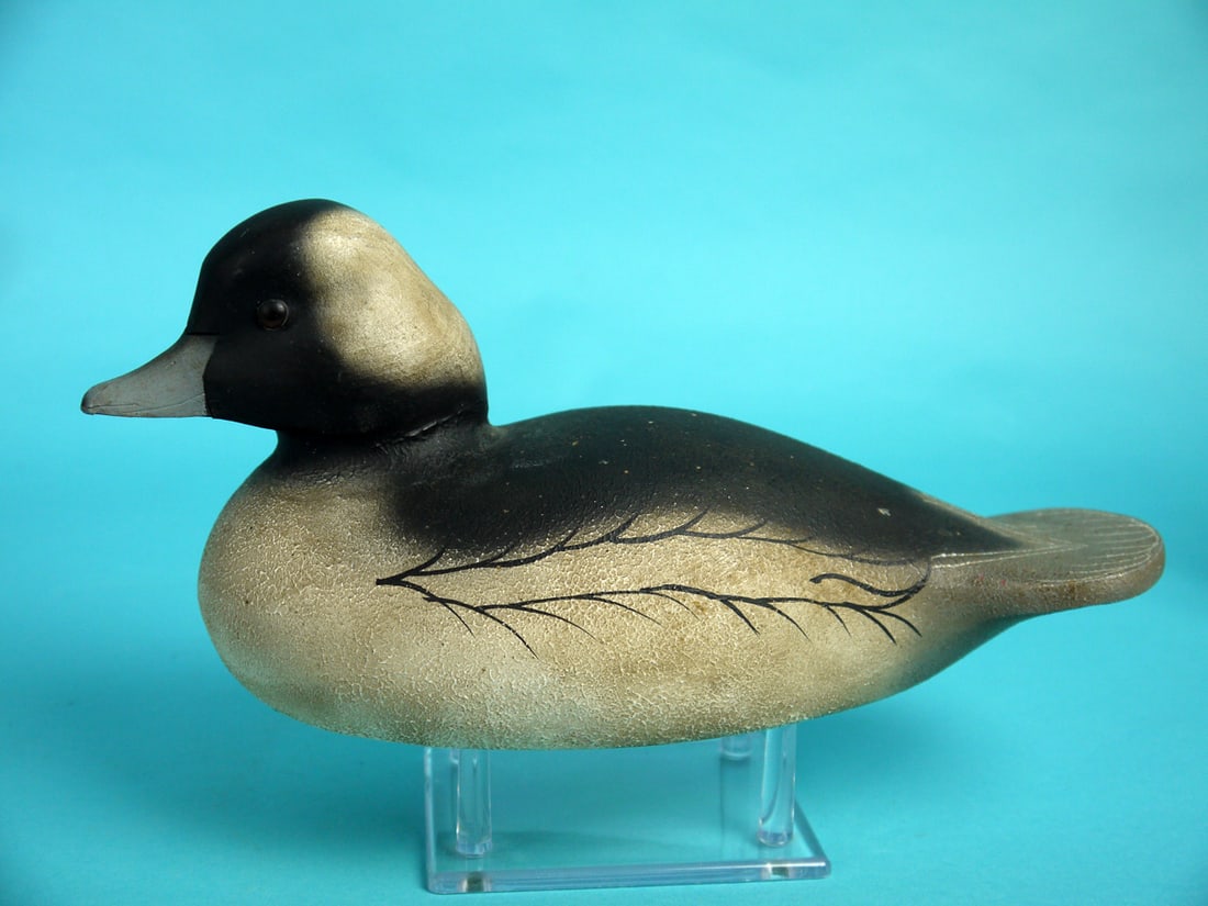 BUFFLEHEAD DRAKE, W. VEASEY (1 of 4)