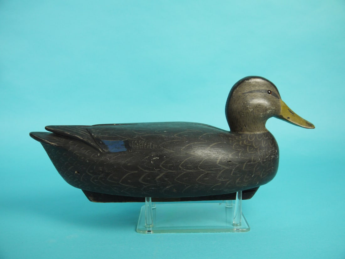 BLACK DUCK, R. LIBENSPERGER - 2