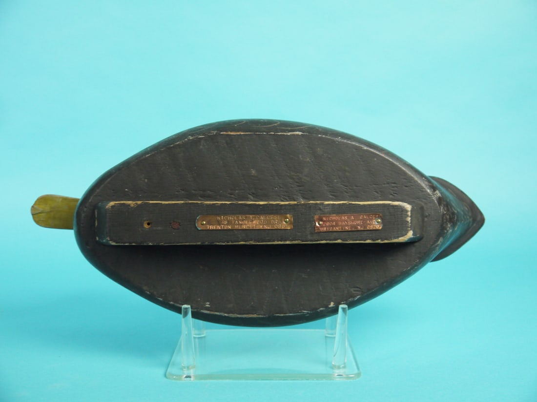 BLACK DUCK, R. LIBENSPERGER - 4