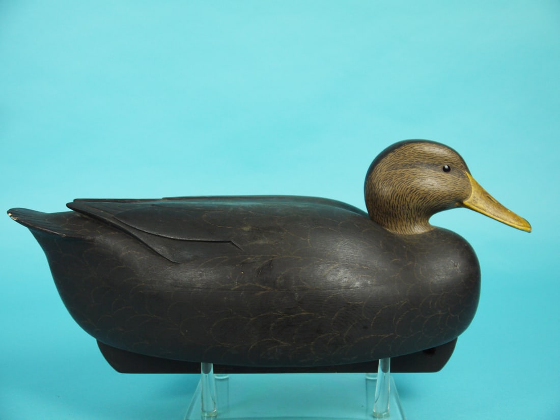 BLACK DUCK, R. LIBENSPERGER - 2