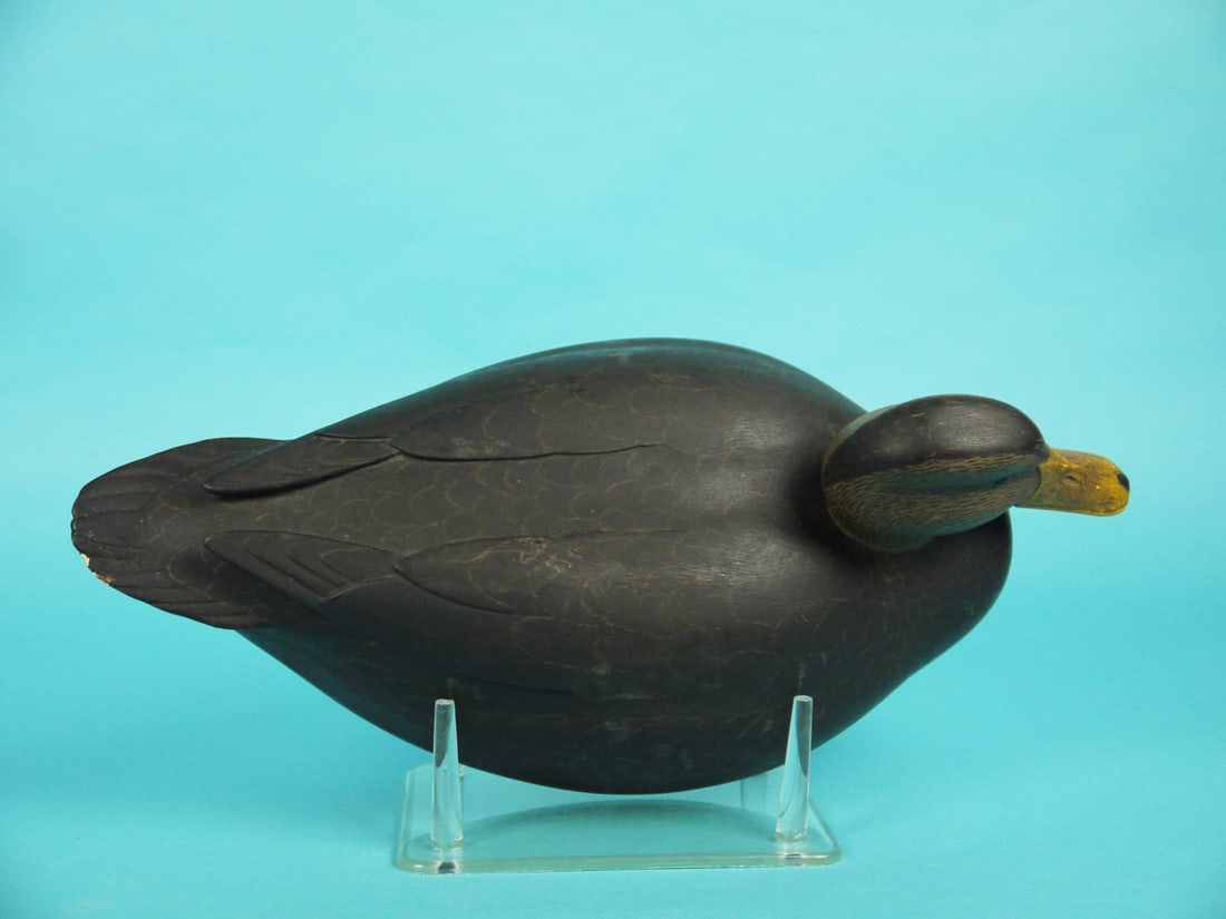 BLACK DUCK, R. LIBENSPERGER - 3
