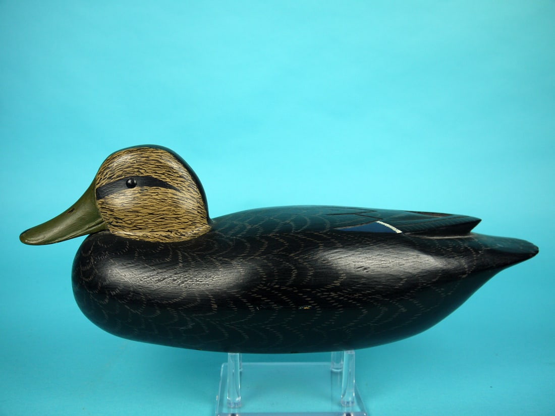 BLACK DUCK, R. ANDERSON (1 of 4)