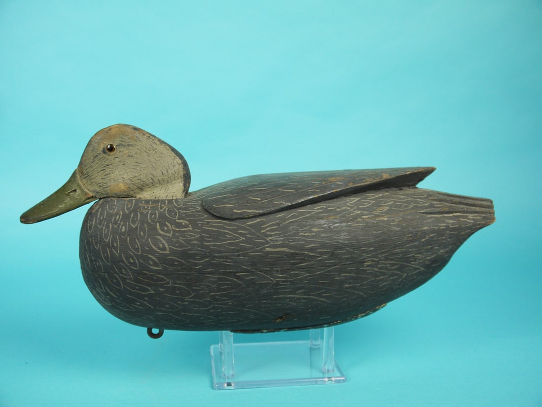 BLACK DUCK, C.R. MARTER, SR. (1 of 4)