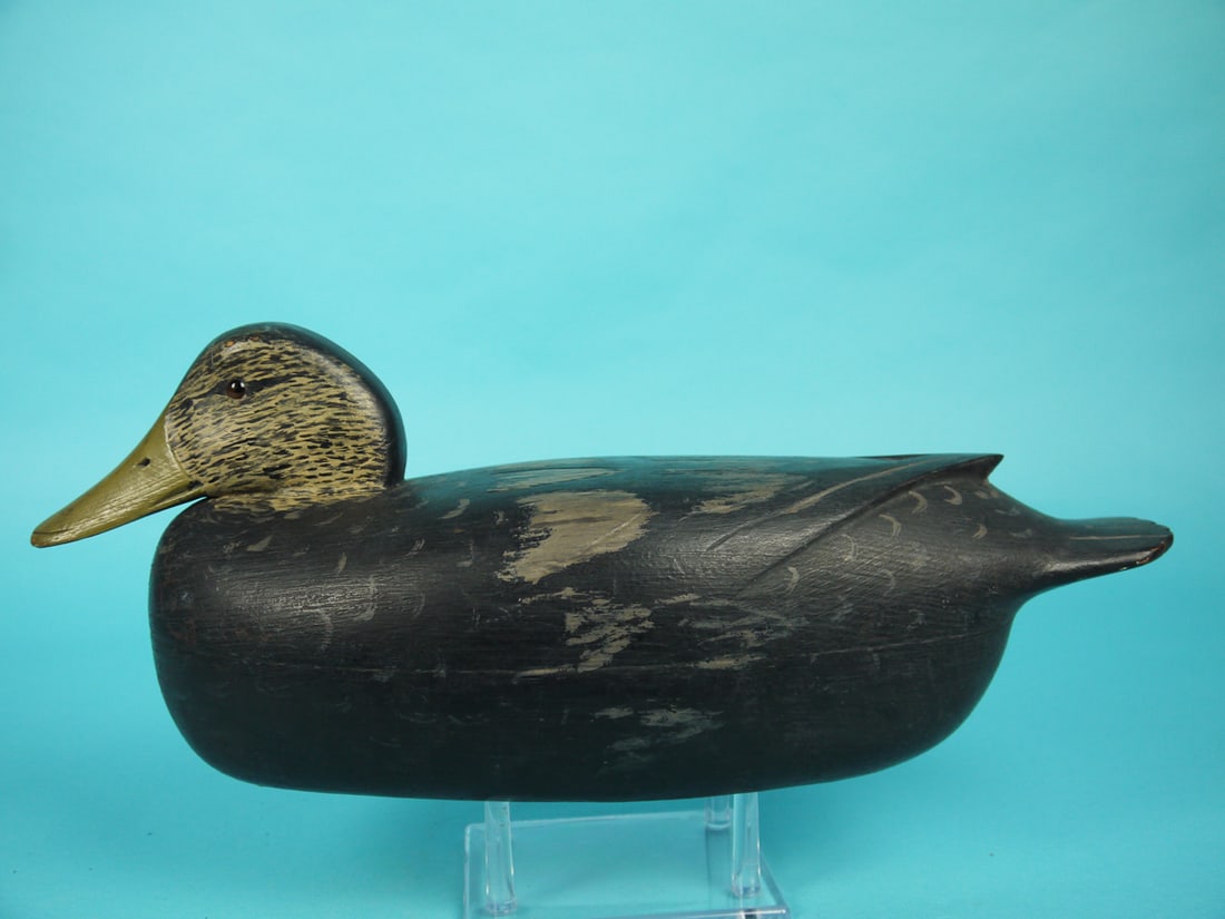 BLACK DUCK, L. MCLAUGHLIN (1 of 4)