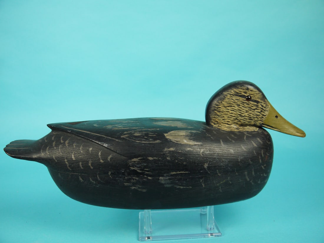 BLACK DUCK, L. MCLAUGHLIN - 2