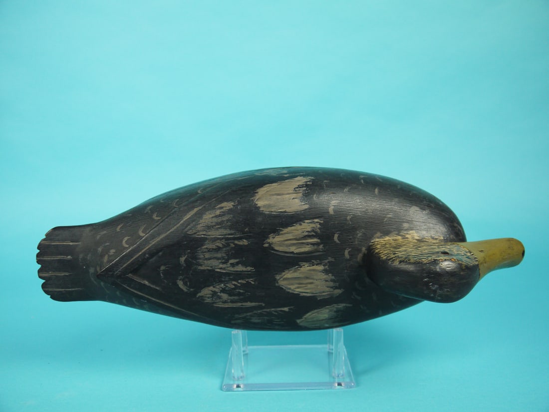 BLACK DUCK, L. MCLAUGHLIN - 3