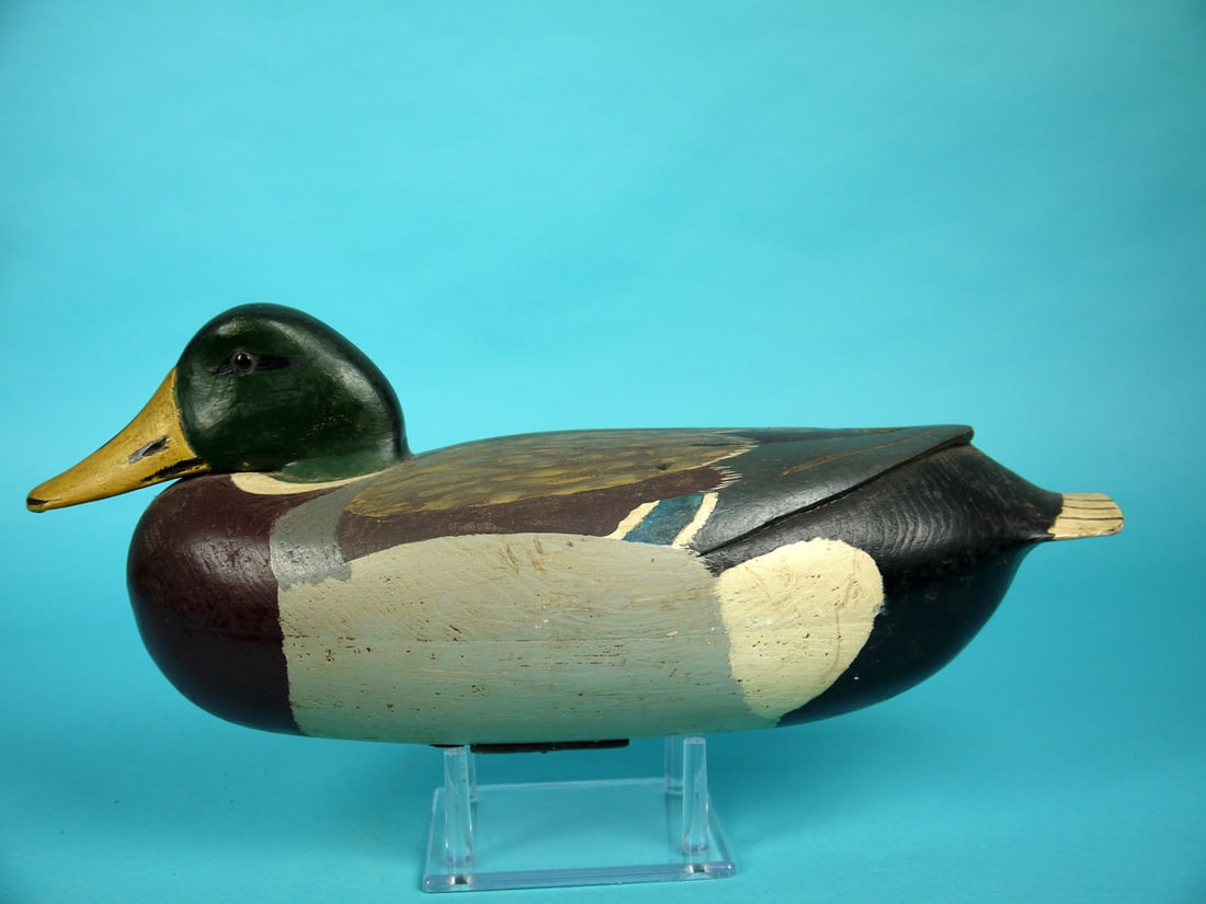 MALLARD DRAKE, L. MCLAUGHLIN (1 of 3)