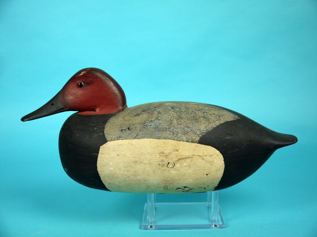 CANVASBACK DRAKE, L. MCLAUGHLIN (1 of 4)