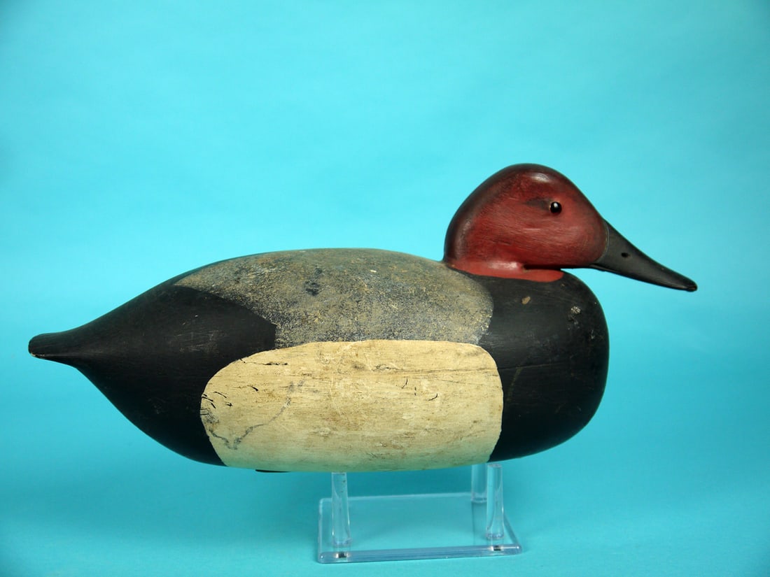 CANVASBACK DRAKE, L. MCLAUGHLIN - 2