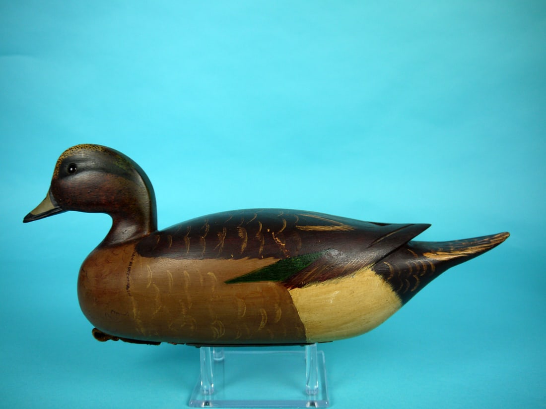 WIGEON DRAKE, N. SACCHI (1 of 4)