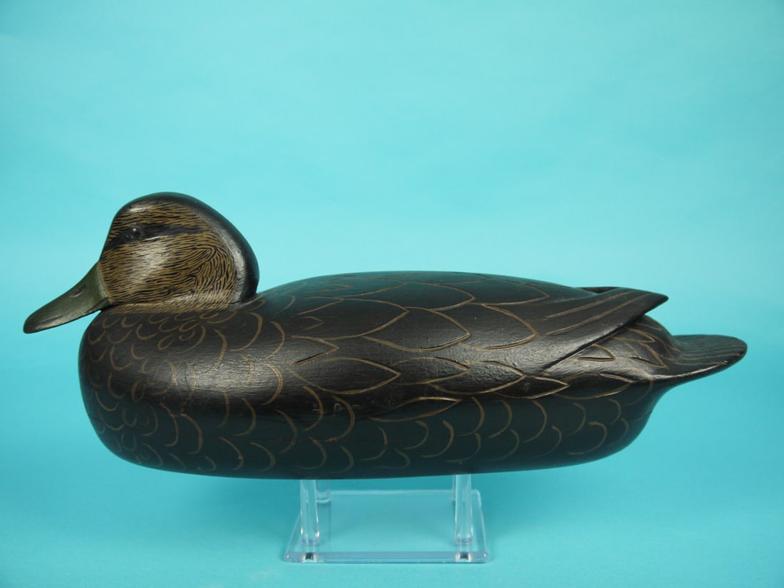 BLACK DUCK, C. TRADER (1 of 4)