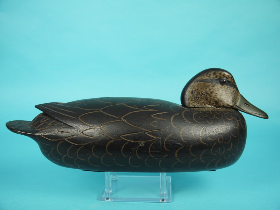 BLACK DUCK, C. TRADER - 2