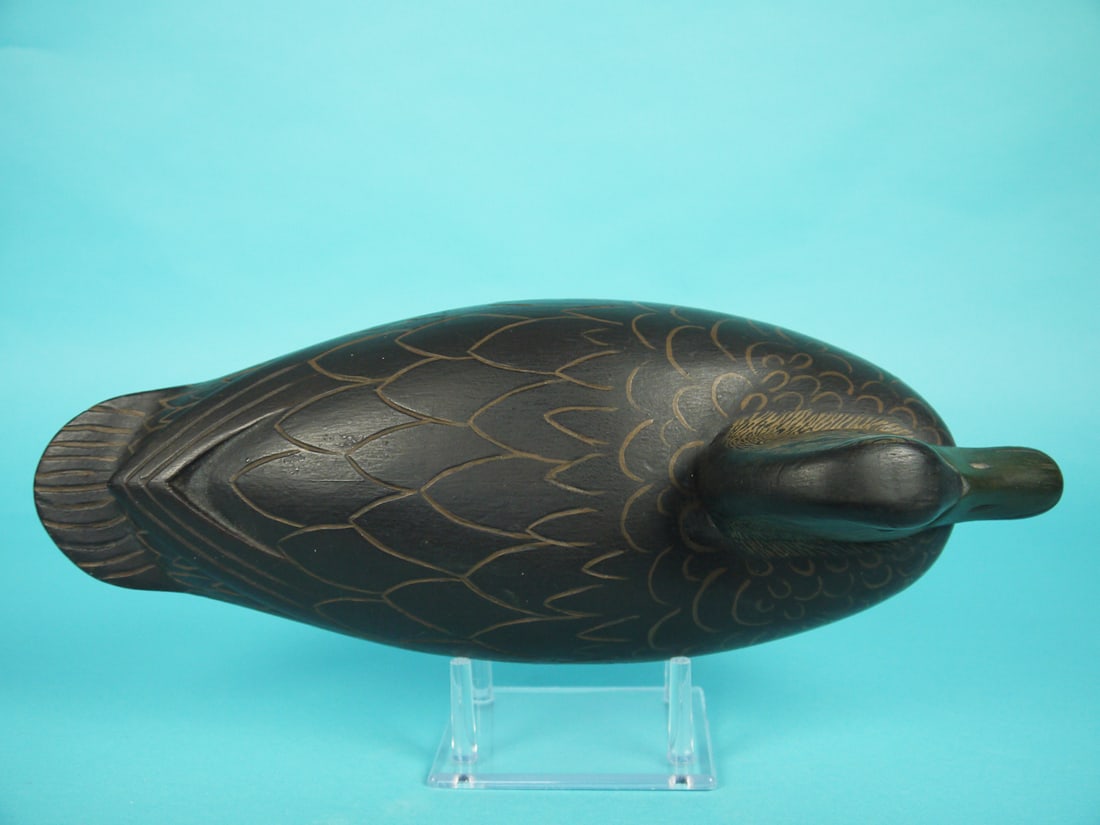 BLACK DUCK, C. TRADER - 3