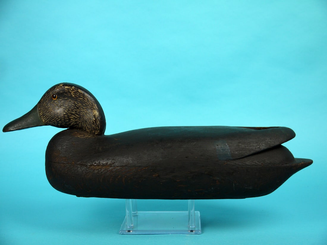 BLACK DUCK, J. WEST (1 of 3)