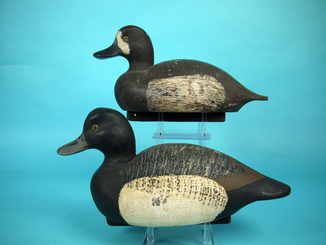 BLUEBILL PAIR, DELAWARE RIVER (1 of 4)