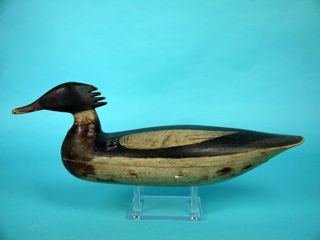 RED-BREASTED MERGANSER DRAKE, J. SALMONS ATTRIB. (1 of 4)