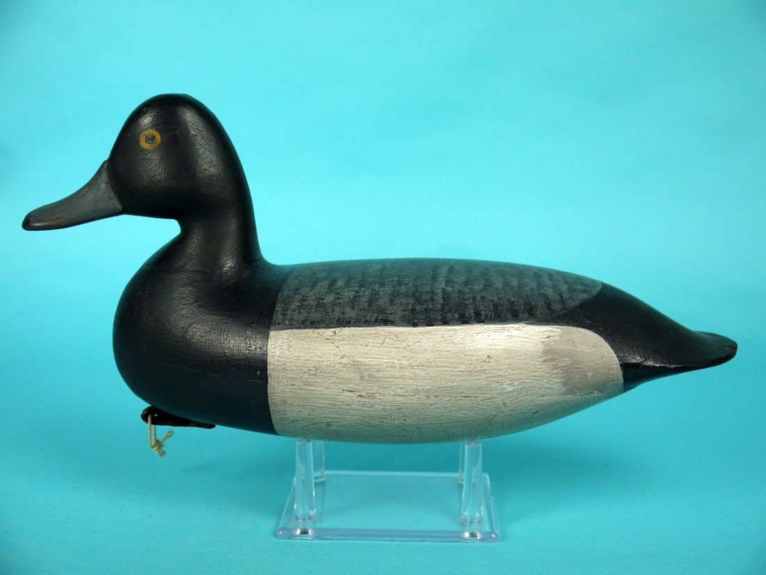 BLUEBILL DRAKE, H.V. SHOURDS (1 of 4)