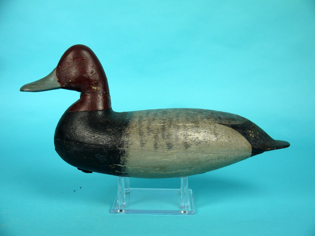 REDHEAD DRAKE, H.V. SHOURDS (1 of 4)