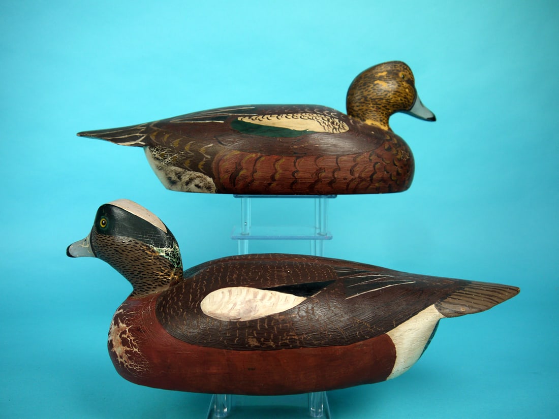 WIDGEON PAIR, C. SPRAGUE - 2