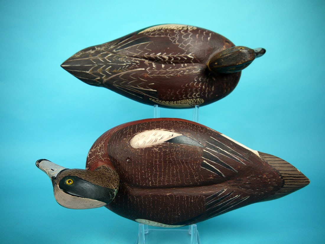 WIDGEON PAIR, C. SPRAGUE - 3