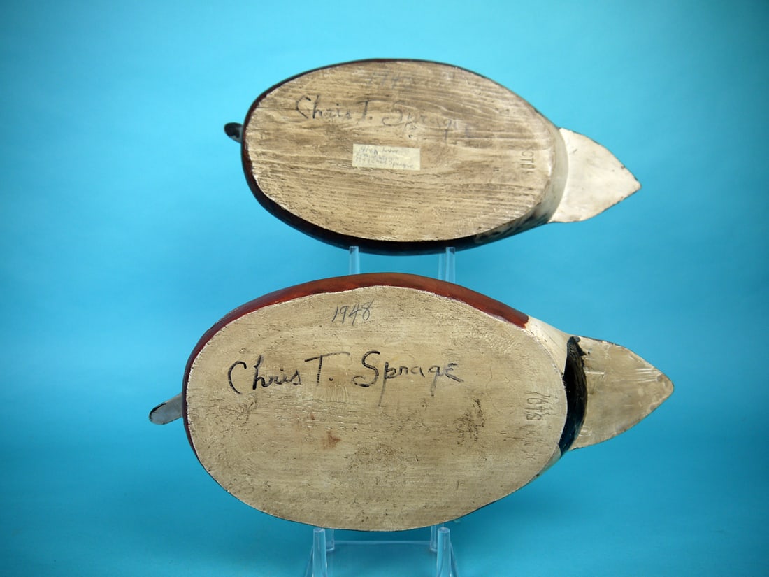 WIDGEON PAIR, C. SPRAGUE - 4