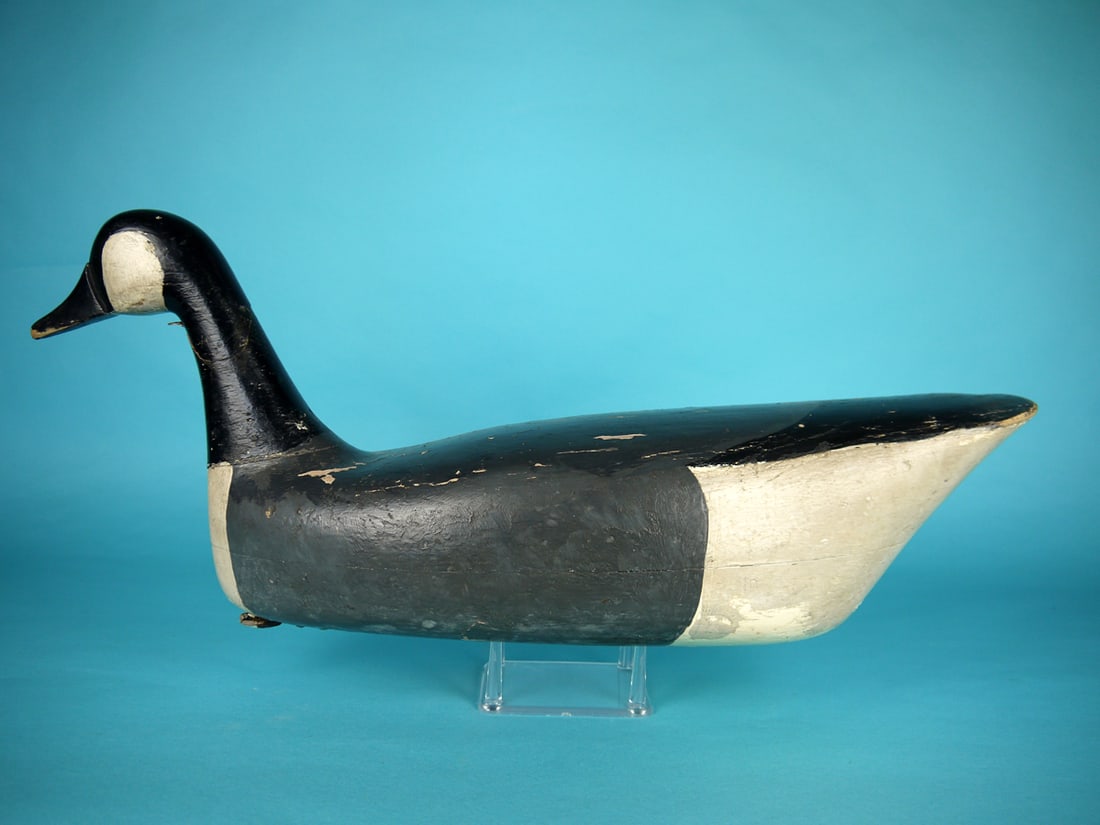 CANADA GOOSE, C. SPRAGUE (1 of 4)