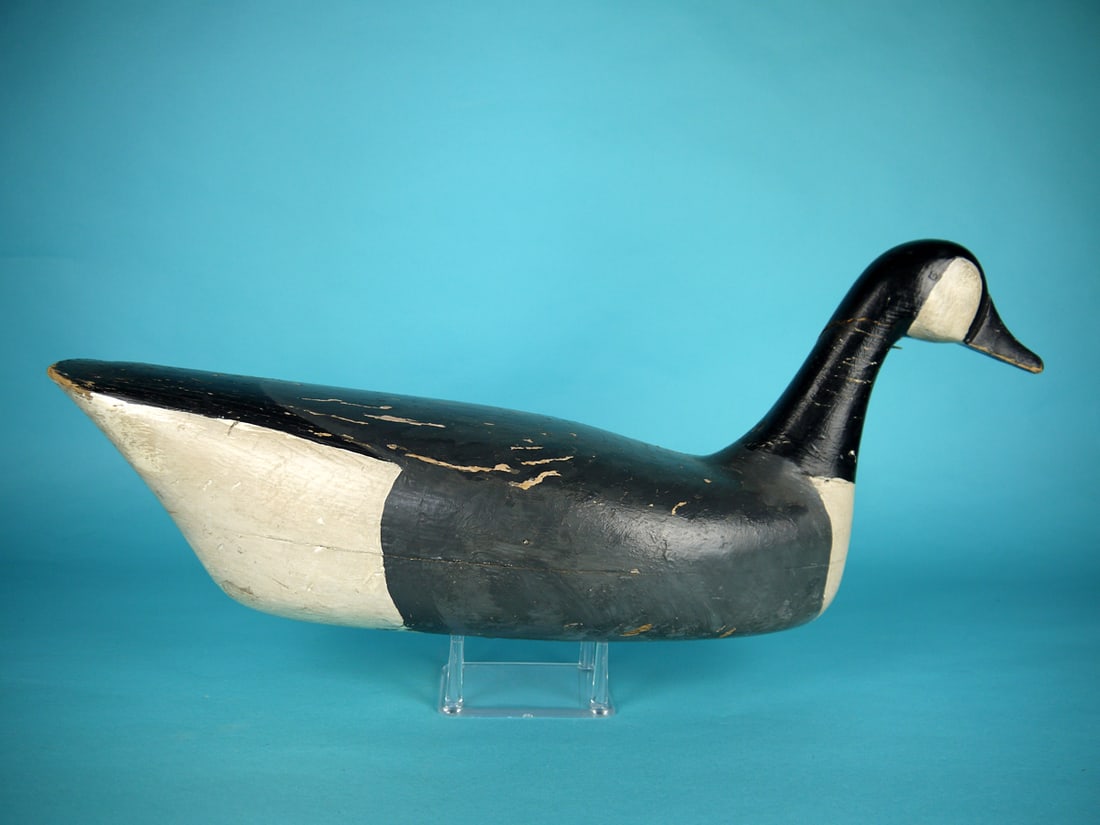 CANADA GOOSE, C. SPRAGUE - 2