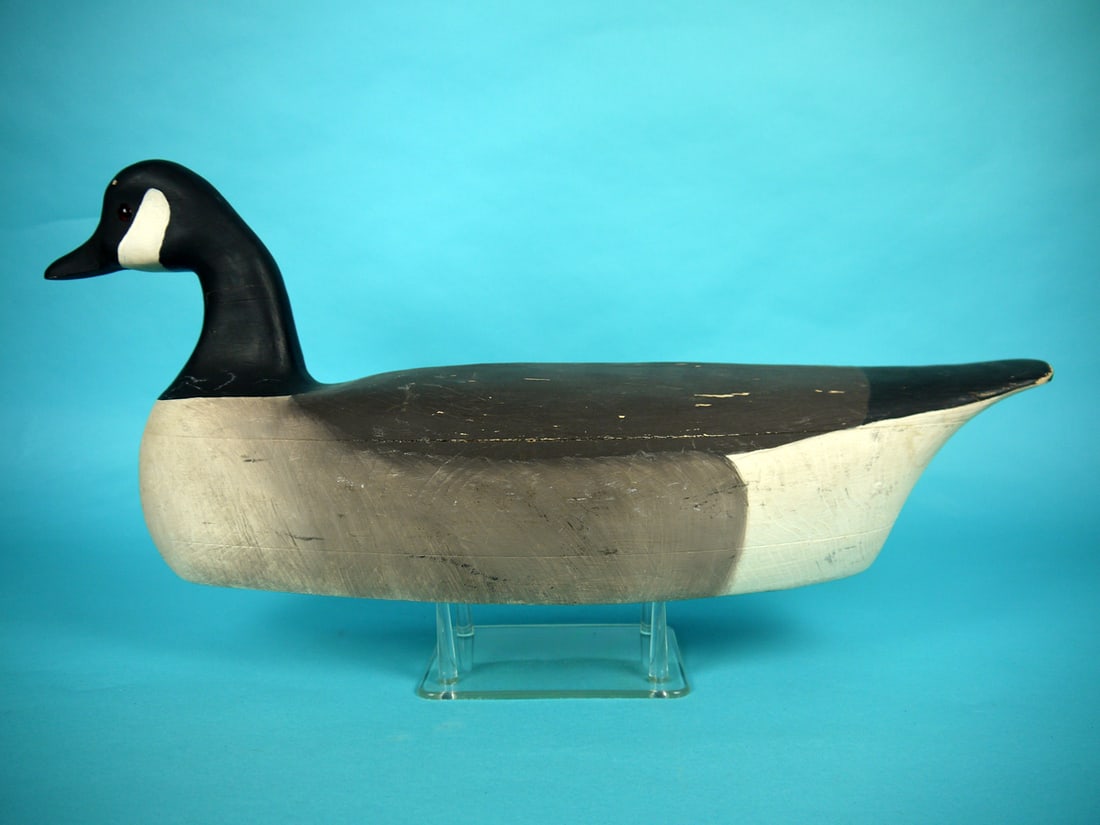 CANADA GOOSE, C. WILBER (1 of 4)