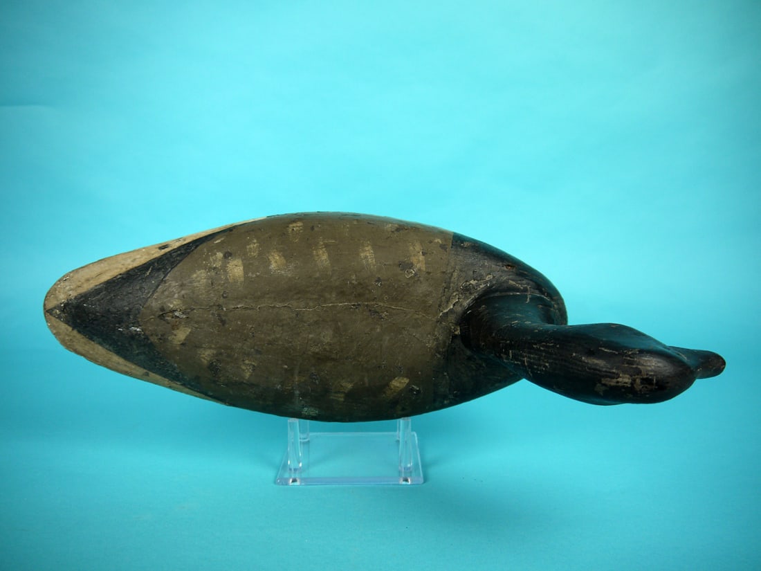 BRANT, NEW JERSEY - 3