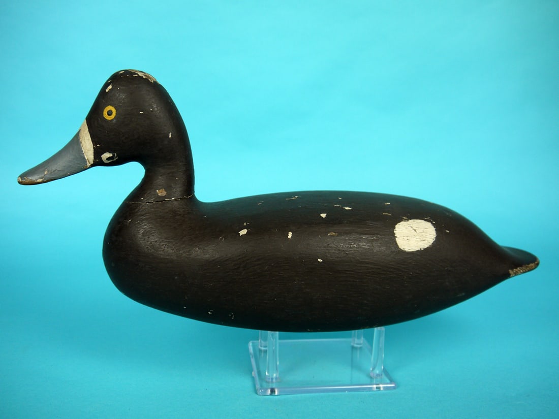 BLUEBILL HEN, TUCKERTON, NJ: BLUEBILL HEN, Tuckerton, NJ. Working paint with some gunning wear. Very good structural condition. Some filler missing around head dowel. Hollow construction. Weight and rigging removed. Overall