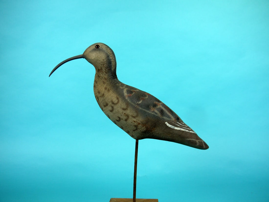 CURLEW, HERTER'S: CURLEW by Herter's, Waseca, MN. Very good original paint and unused condition. Painted feather work overall. Retains glass eyes. Mounted atop a custom base. Overall length is approximately 13 inches,