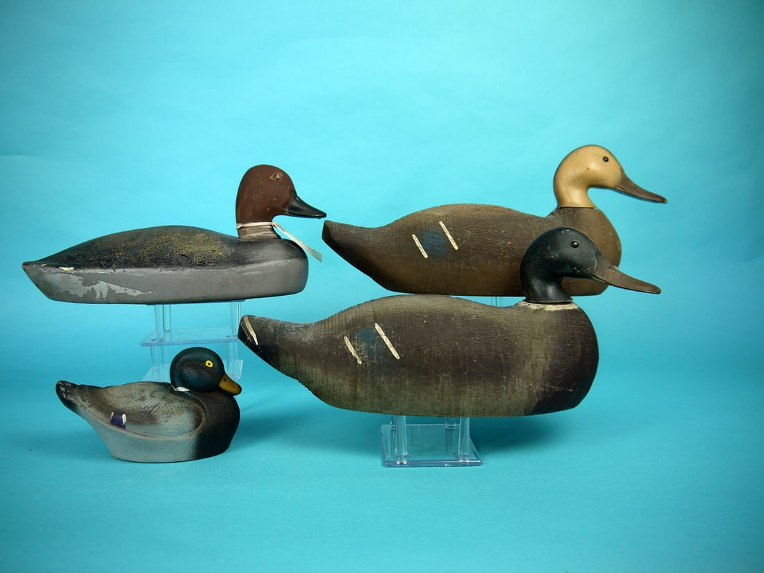 MALLARD PAIR, ANIMAL TRAP: PAIR OF MALLARDS by the Animal Trap Co., Pascagoula, MS, (1954-1960). Good original paint with light in-use wear. Wood bodies with tenite heads. Both retain crisp Animal Trap ink stamps. For an